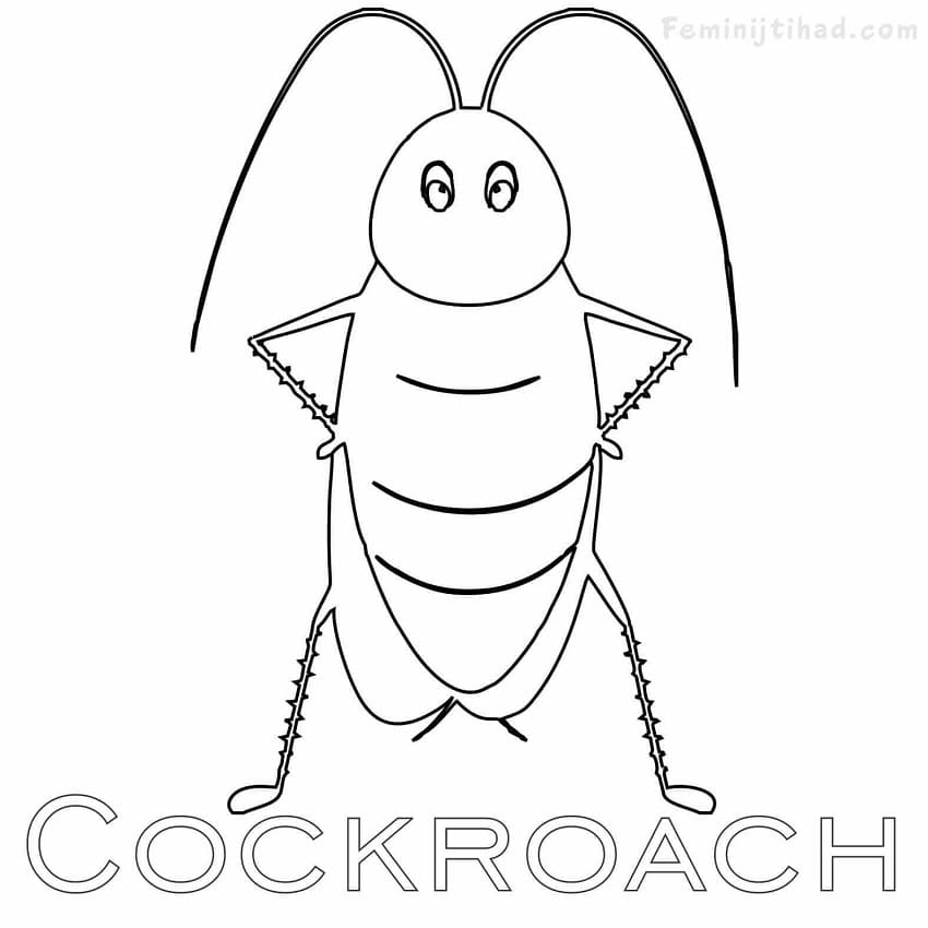 Cockroach Coloring Pages - Free Printable Coloring Pages for Kids