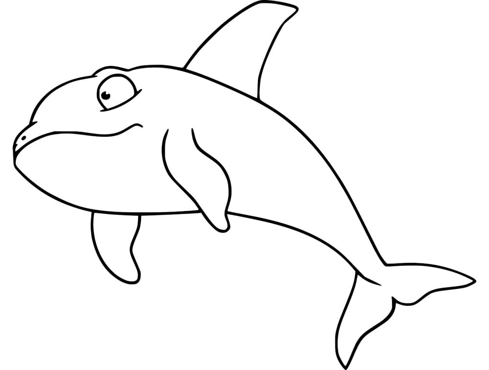 Animated Killer Whale