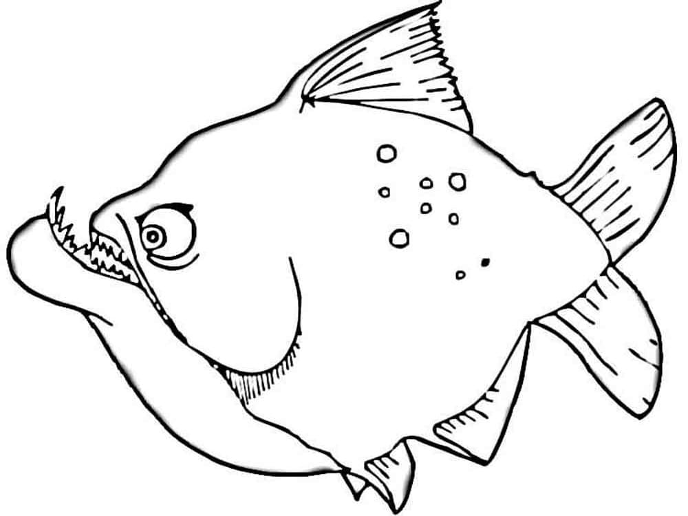 Animated Piranha