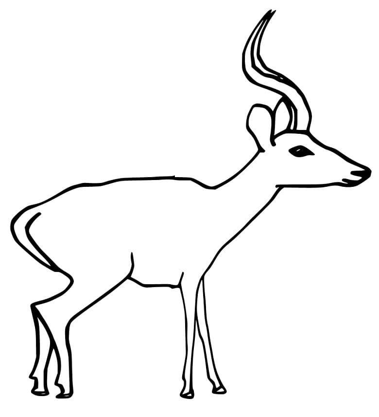 Antelope Head Coloring Page - Free Printable Coloring Pages for Kids