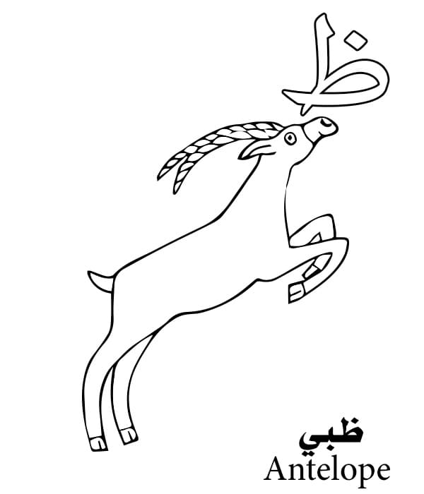 Antelope Arabic Alphabet