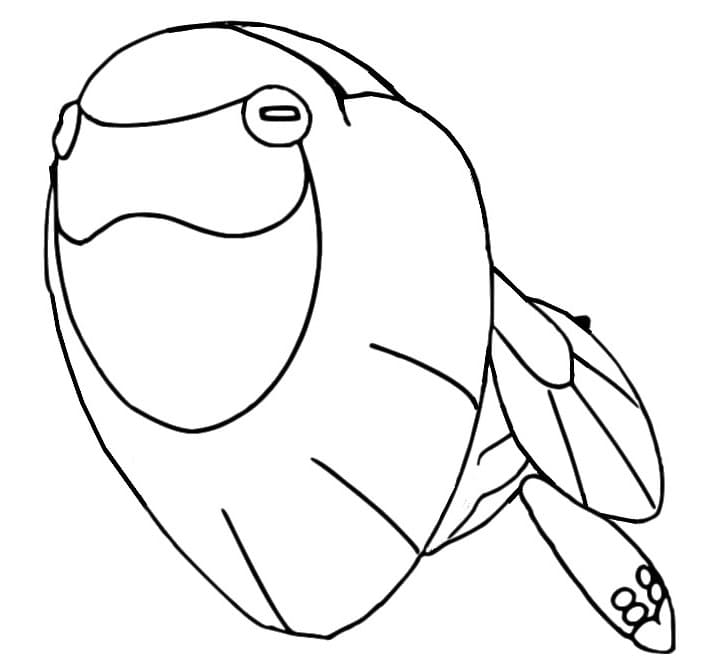 coloring pages arctovish pokemon