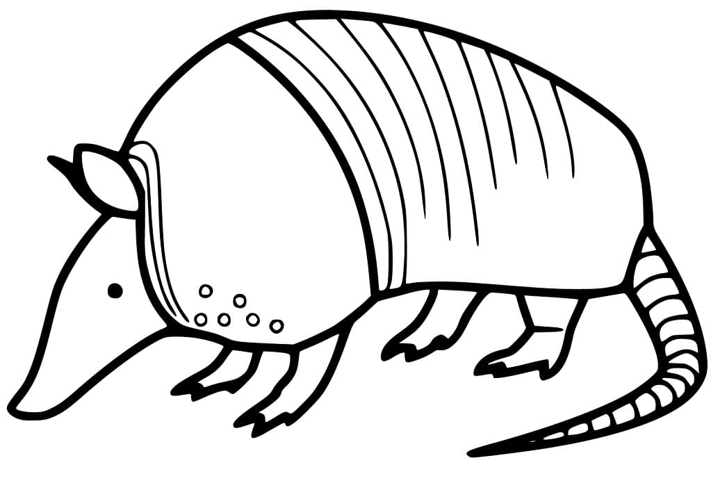 Armadilo Printable Coloring Page - Free Printable Coloring Pages for Kids