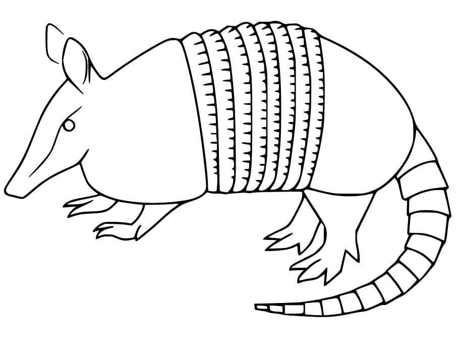 Realistic Giant Armadillo Coloring Page Free Printable Coloring Pages