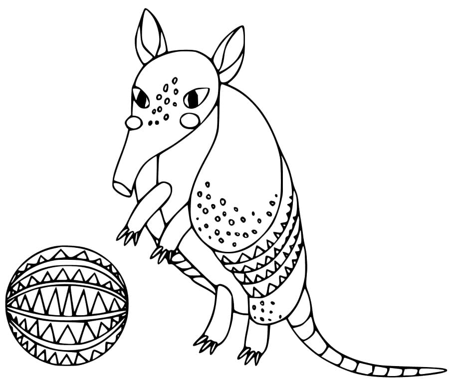 Armadilo and Ball