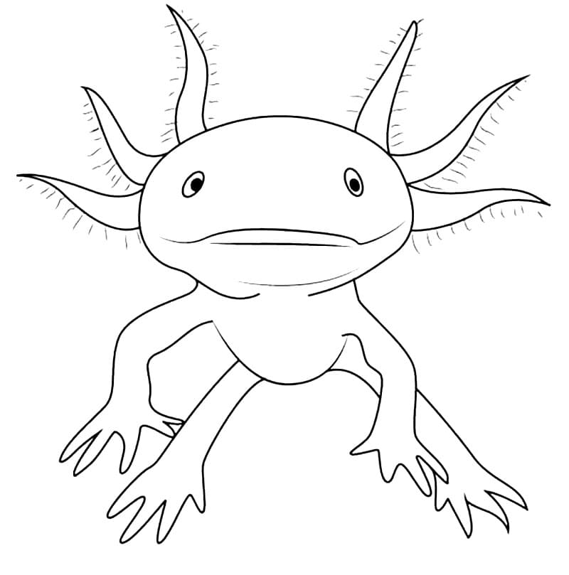 Axolotl Coloring Pages Printable Printable Word Searches