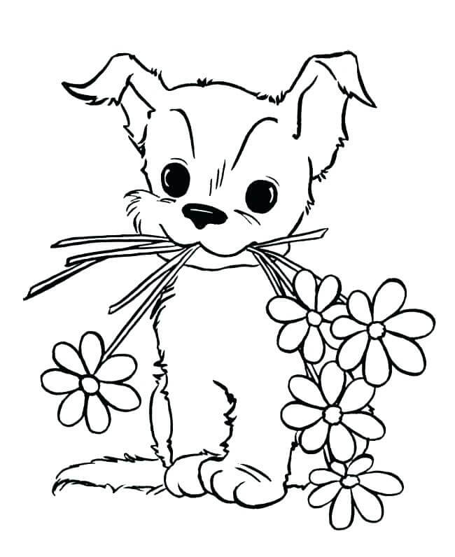 Baby Animal Coloring Pages - Free Printable Coloring Pages for Kids