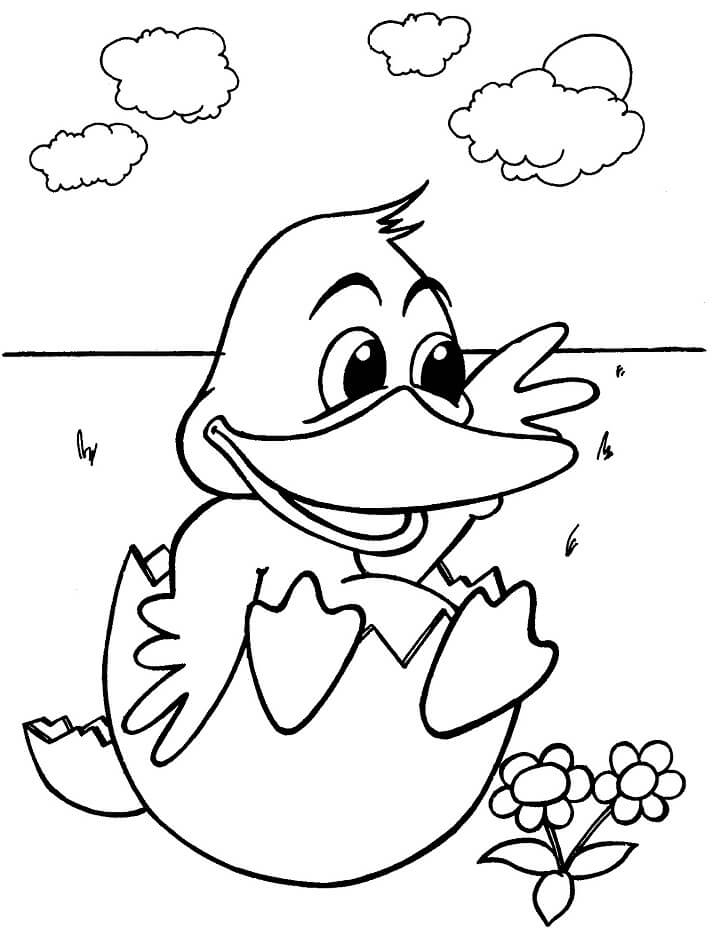Download Baby Duck Coloring Page Free Printable Coloring Pages For Kids