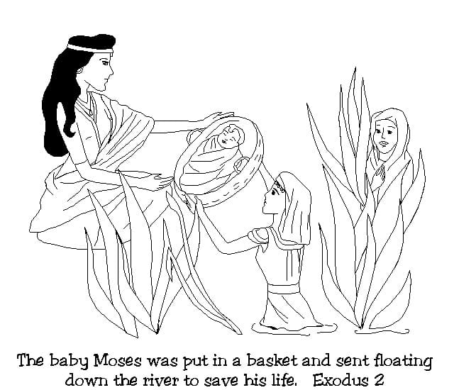 Baby Moses Bible Story