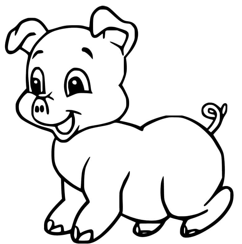 Baby Pig 3