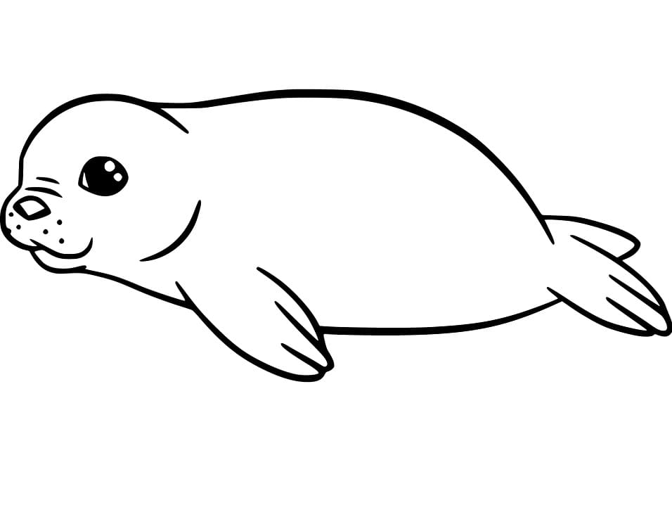 Cute Seal Coloring Pages At Getcolorings Free Printable Colorings The