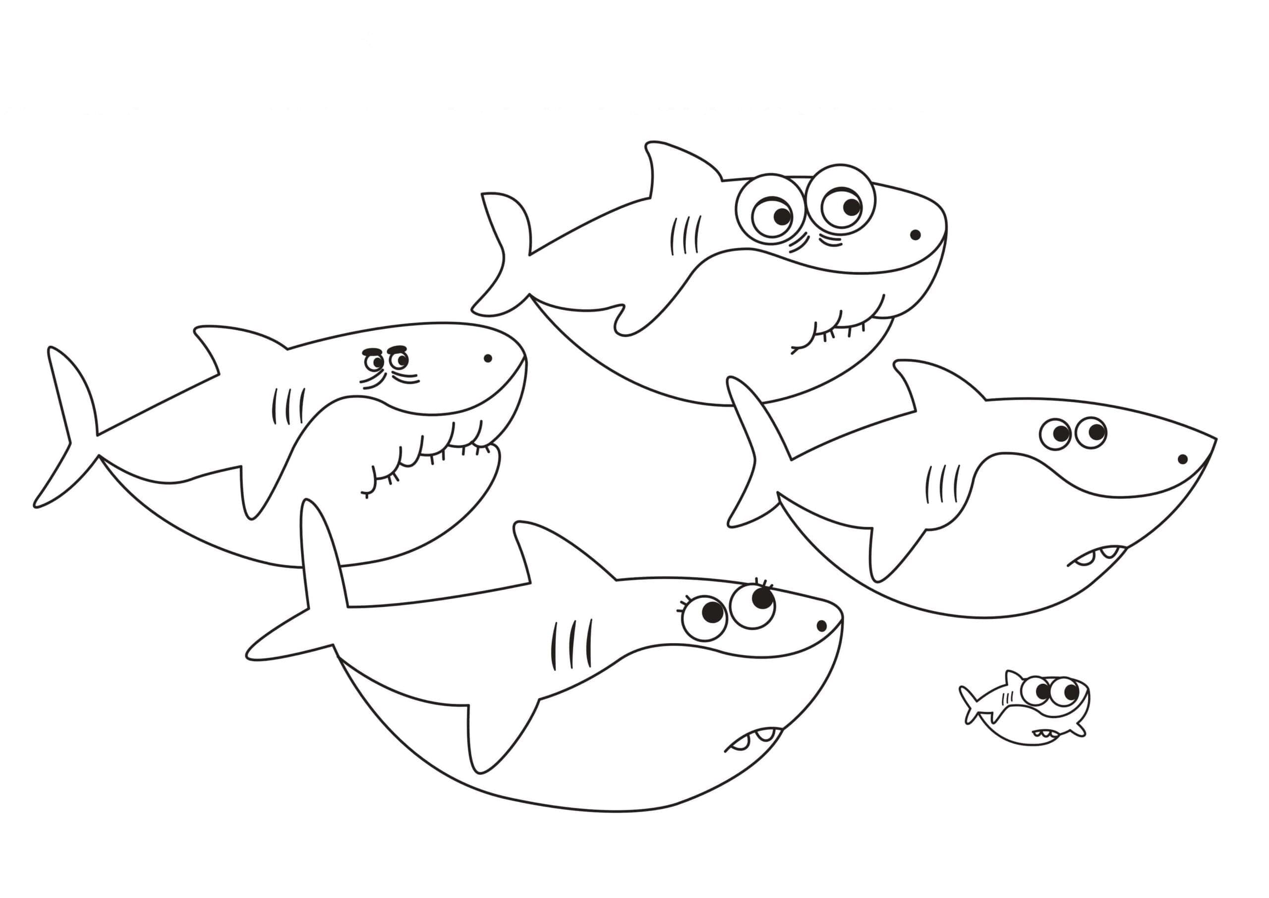 Baby Shark Free Coloring Page   Free Printable Coloring Pages for Kids