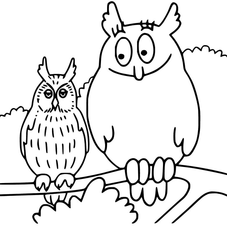 Barbabravo Owl