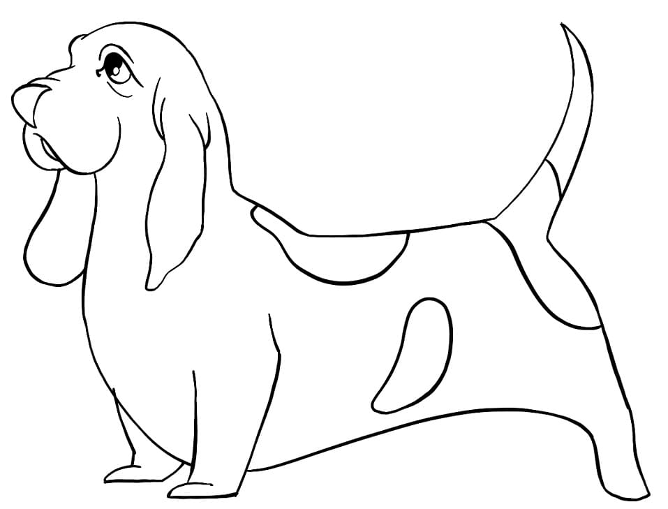 Basset Hound 1 Coloring Page Free Printable Coloring Pages For Kids