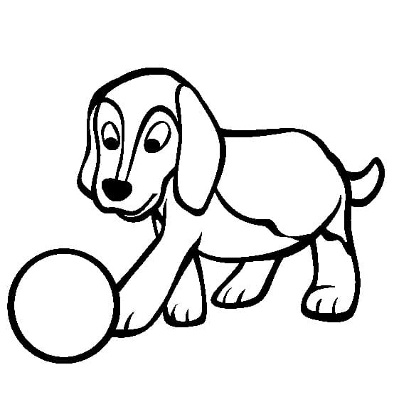 Beagle with A Ball