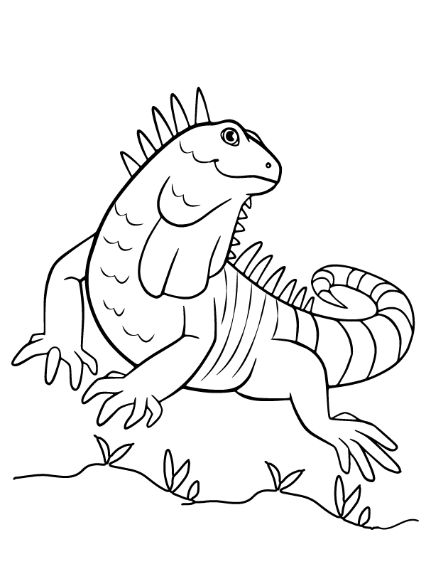 Bearded Dragon Coloring Page - Free Printable Coloring Pages for Kids