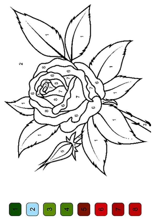 coloring by number flower