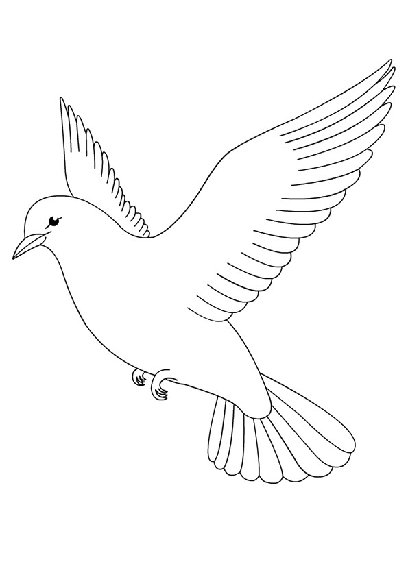 Pigeon Coloring Pages - Free Printable Coloring Pages for Kids