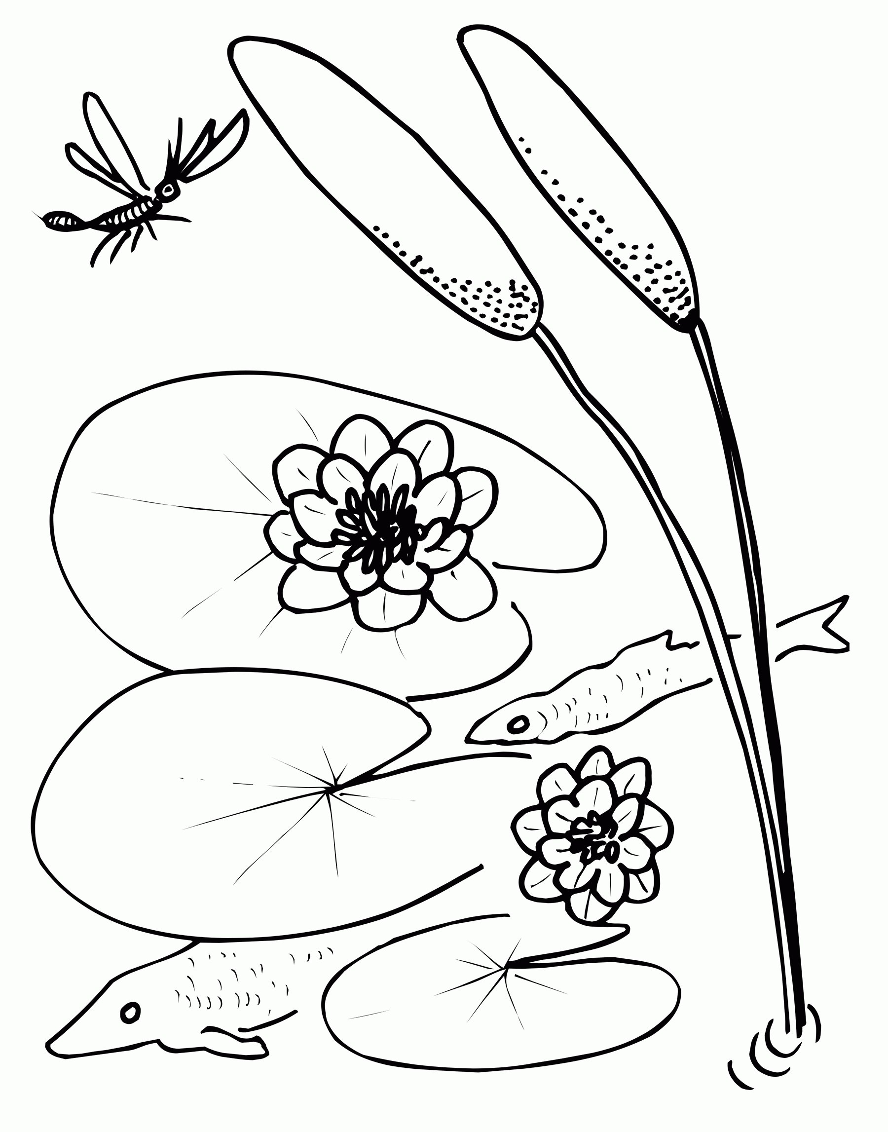 Lily Pad and snake Coloring Page - Free Printable Coloring Pages for Kids