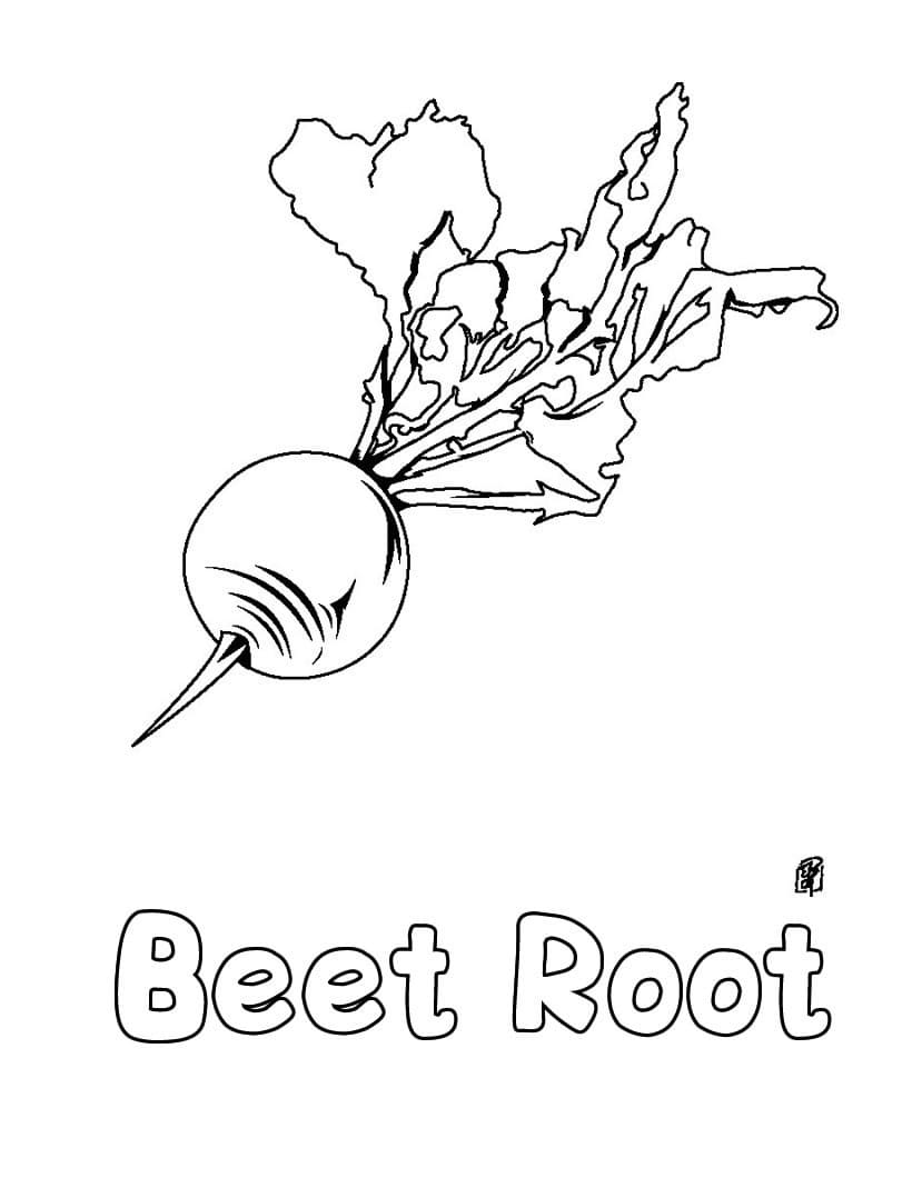Beetroot 1