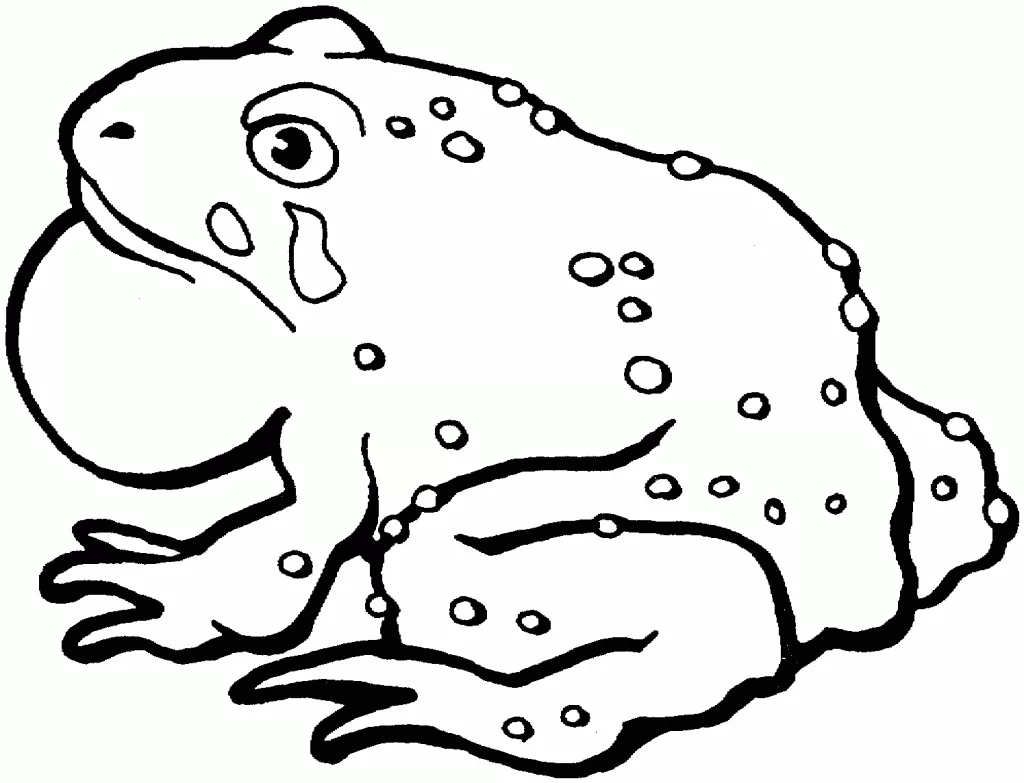 Big Toad