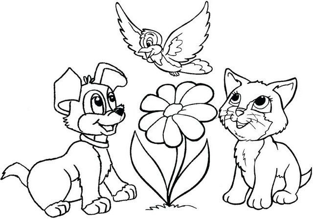 Bird Dog And Cat Coloring Page Free Printable Coloring Pages For Kids