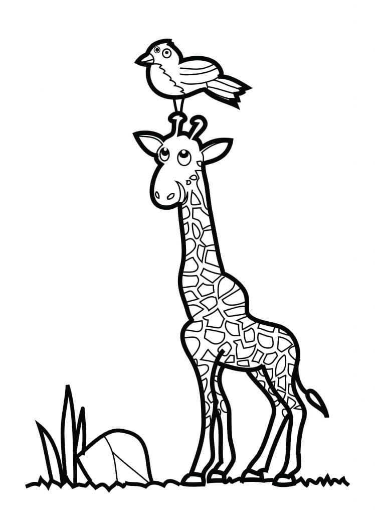 giraffe head coloring pages