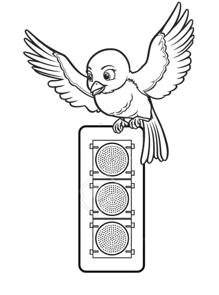 Bird and Traffic Light