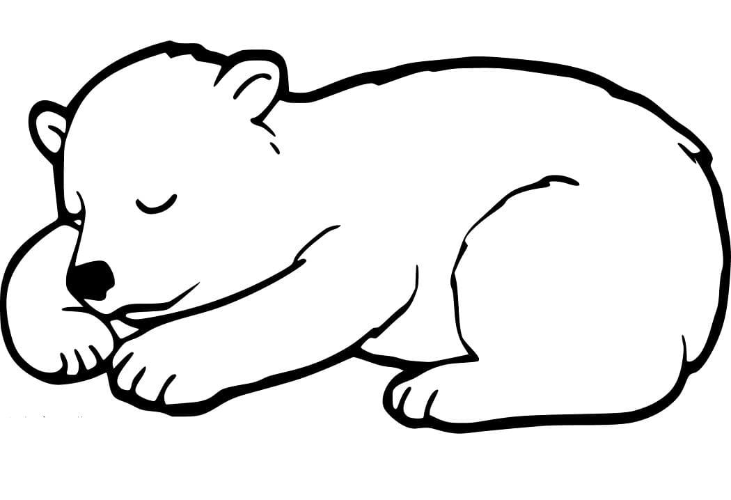 880 Collections Sleeping Bear Coloring Pages To Print  Best Free
