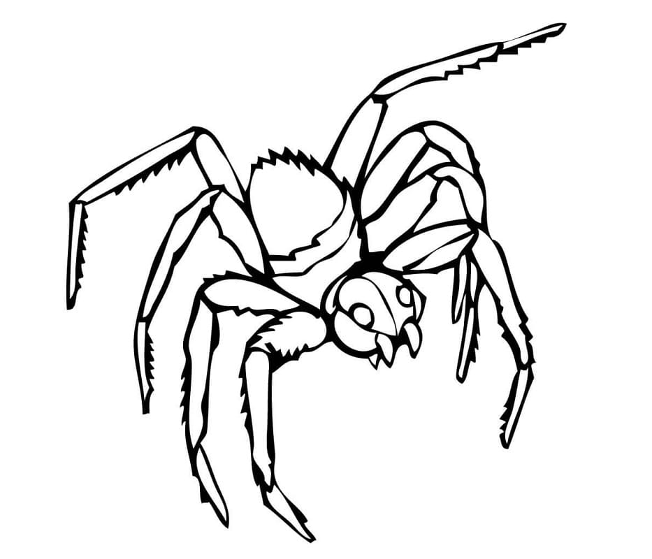 black widow coloring pages