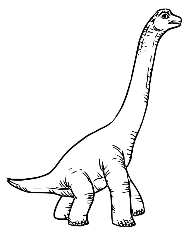 Brachiosaurus 10