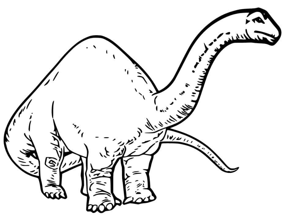 Brachiosaurus 11