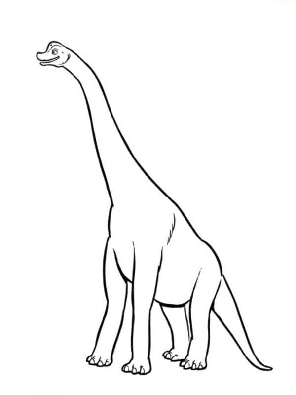 Brachiosaurus 13