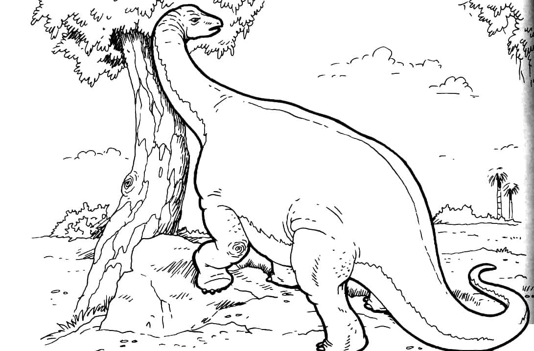 Brachiosaurus 4