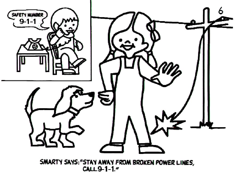 Broken Power Lines Safety