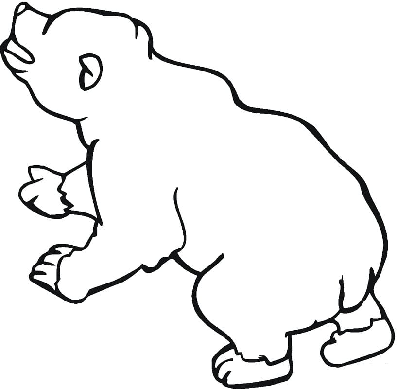 Printable Brown Bear Brown Bear Coloring Pages