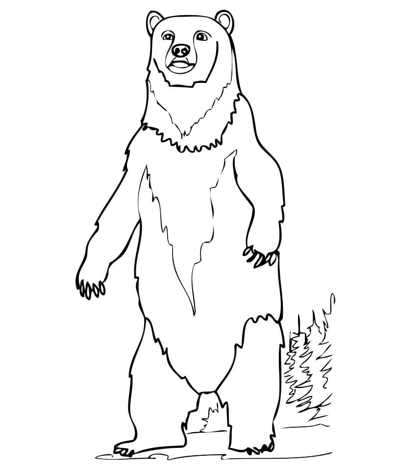 Standing Bear Polygonal Lines Illustration. Stock Illustration -  Illustration of creative, sketch: 181330380