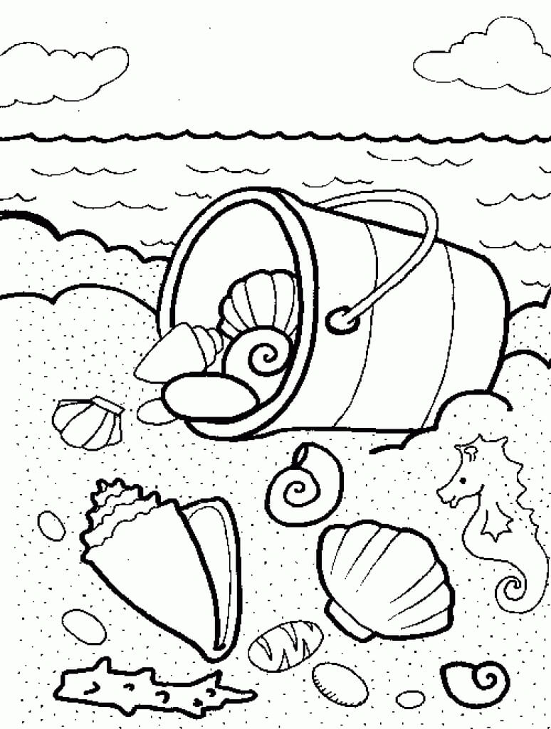 coloring pages of seashells