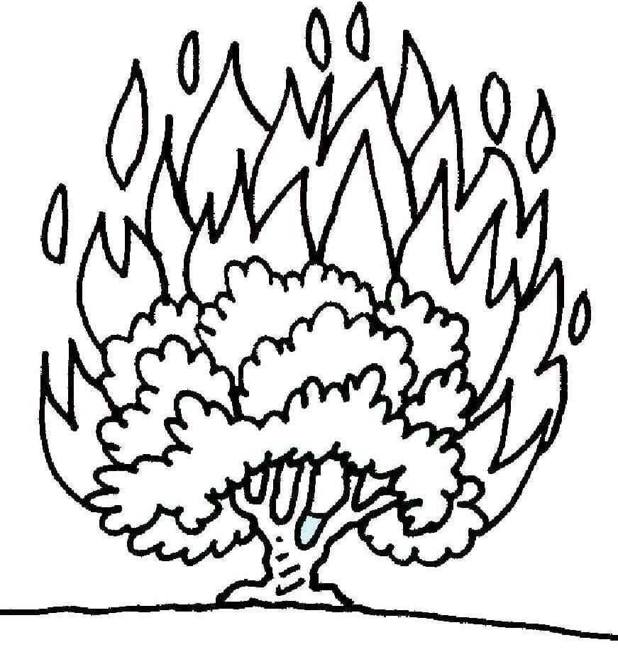 37-burning-bush-coloring-page-printable-cailanaslihan