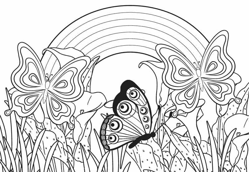 Butterflies with Rainbow Coloring Page