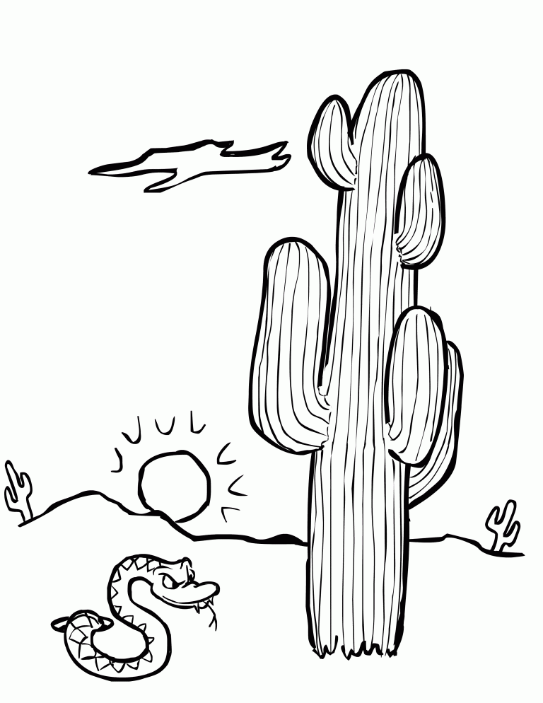 Cactus and Snake