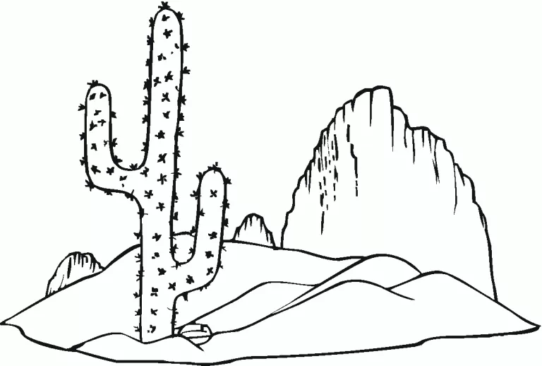 Cactus in Desert