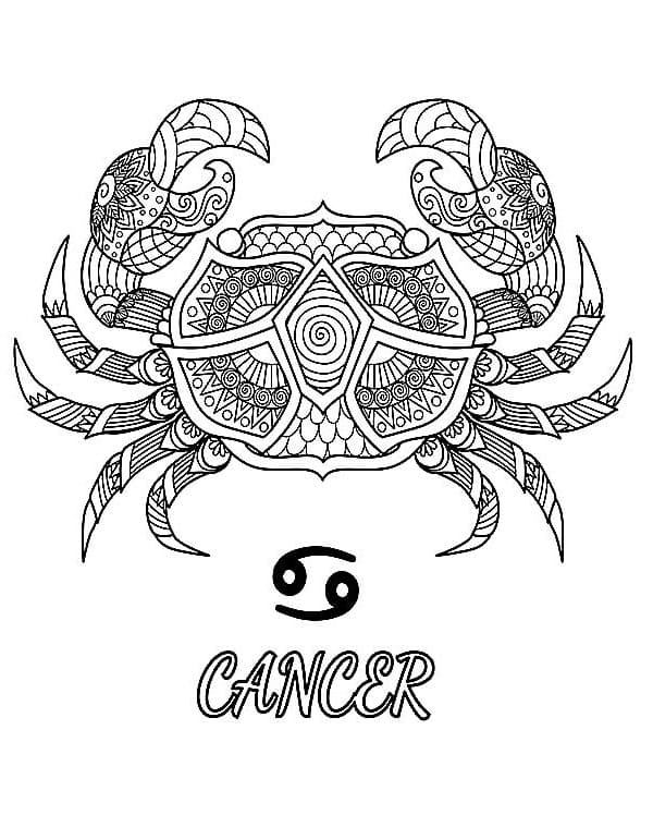 Cancer Zodiac 4