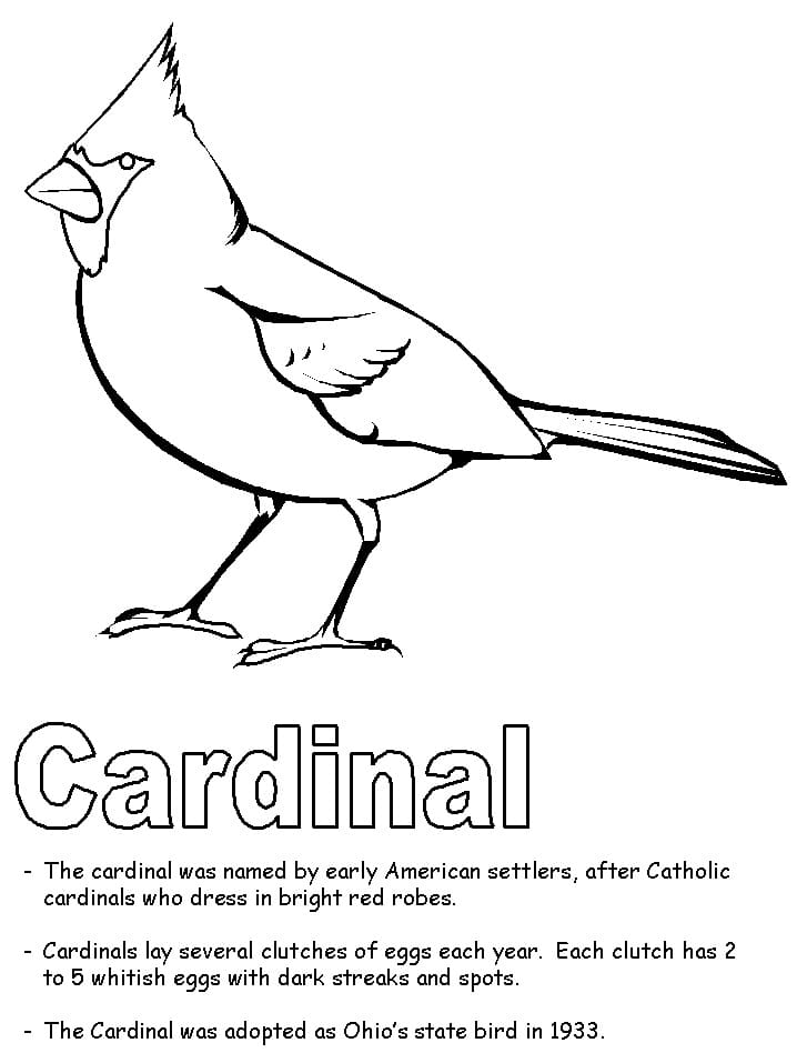 Cardinal to Color