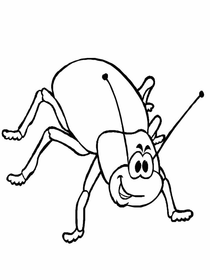 Cartoon Beetle