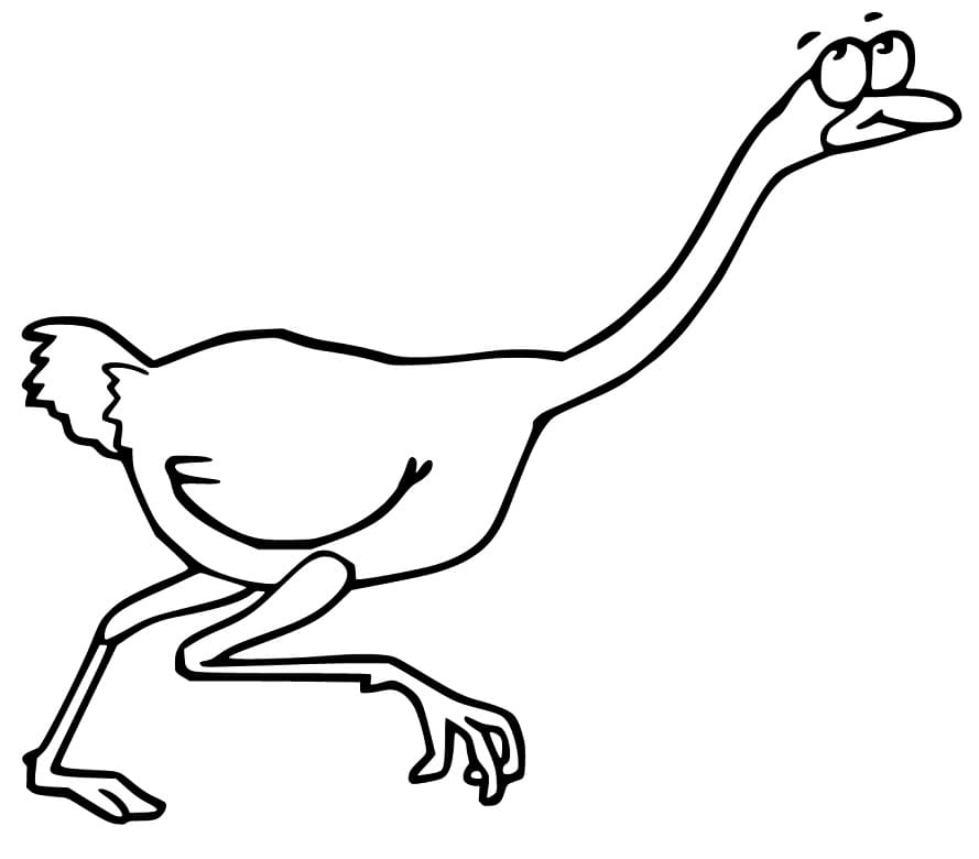 Cartoon Emu Coloring Page - Free Printable Coloring Pages for Kids