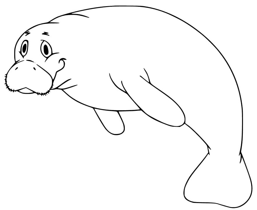 manatee free coloring pages