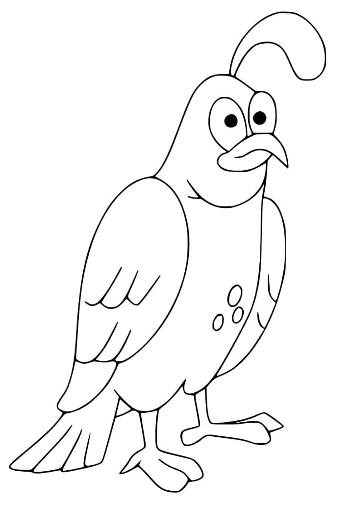 Cartoon Quail Coloring Page - Free Printable Coloring Pages for Kids