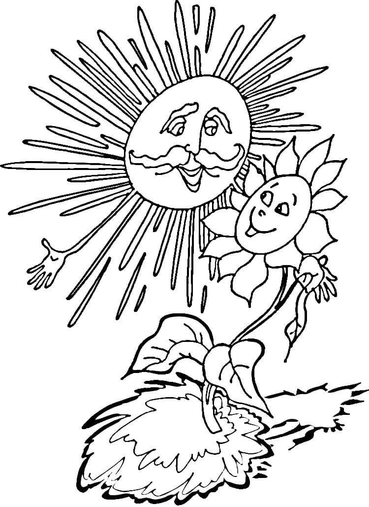 Cartoon Sunflower and Sun
