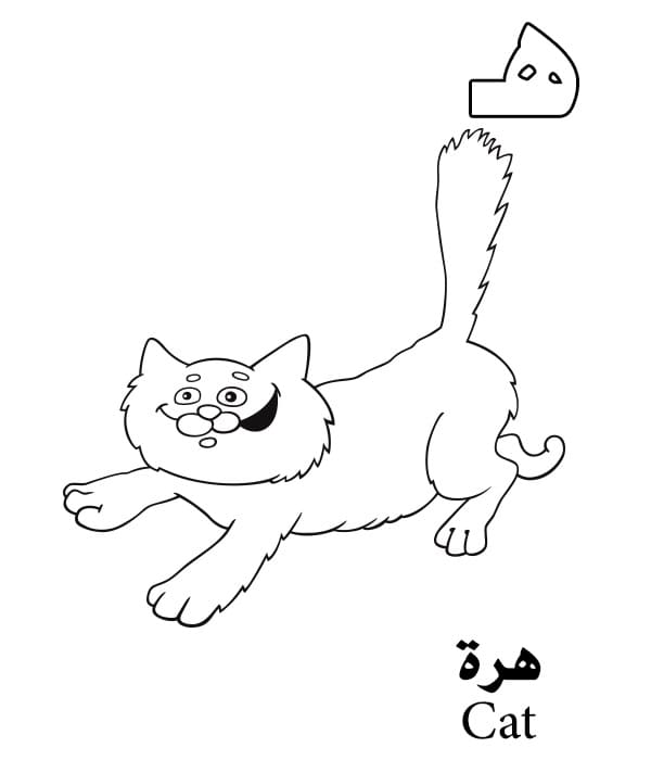 Cat Arabic Alphabet